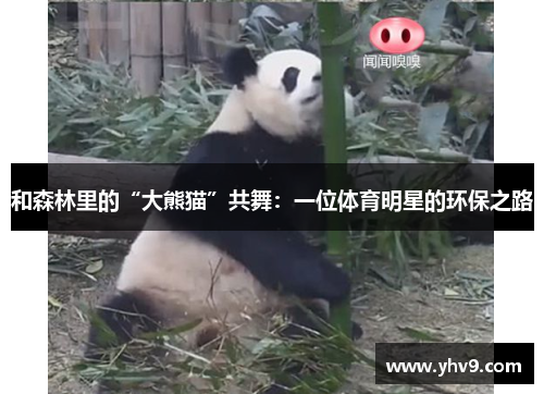 和森林里的“大熊猫”共舞：一位体育明星的环保之路